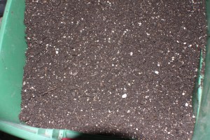 This looks petty good.