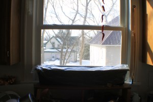 Planter in the kitchen window.