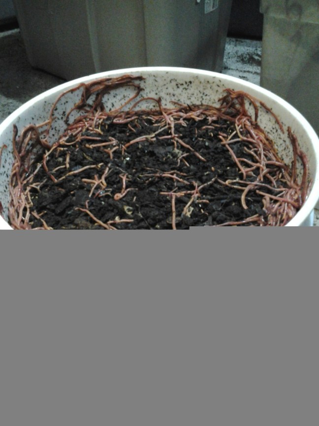 20140405_093250.jpg image