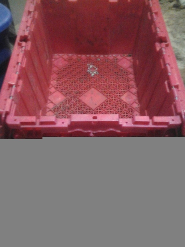 20140405_100904.jpg image