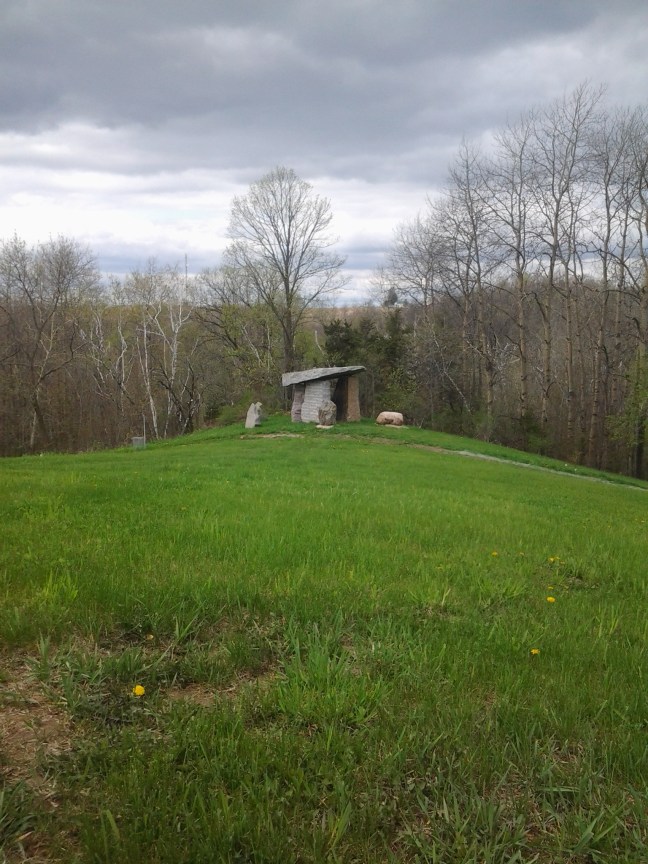 20140515_133356.jpg image